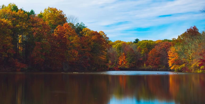 Mindfulness: The Secret to Achieving Your Goals